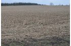 Property photo 91 - 98+/- Acres Offered in 6 Tracts or Combinations, Noble County, Indiana Farm